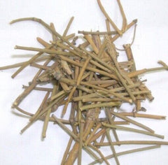 HelloYoung Somlata Gerard Jointfir Khanta Asmania Gerardiana Herb Branch Stem Herbal WHOLE