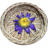 HelloYoung 100g Dried Loose Blue Lotus Flower Herbal Tea Nymphaea Caerulea Savigny