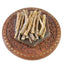Dried seafood 50 gram Top quality New Precious Sipunculus nudus sandworm