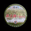 HelloYoung Spring Charm of Jingmai Mountain Pu-erh Pu'er Tea Raw Tea Qizi Cake 200g