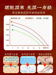 TongRenTang Old Beijing Mugwort Foot Patch 同仁堂老北京艾草足贴20贴/盒 甄选原料 物理贴敷 NEW