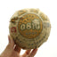 HelloYoung TAETEA 08 Qing Tuo Pu'er Tea Puerh Dayi Tuocha Batch 801 Puer Tea Raw 250g