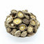 HelloYoung Dried Shiitake Mushrooms Wooden Organic Kitchen Health Green Food Natural Fungus