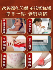 TongRenTang Old Beijing Mugwort Foot Patch 同仁堂老北京艾草足贴20贴/盒 甄选原料 物理贴敷 NEW