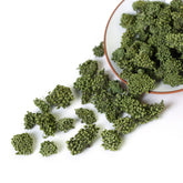 HelloYoung HELLOYOUNG 100g Ginseng Dried Flower Sanqi Tianqi Notoginseng Sanchi Herbal Tea