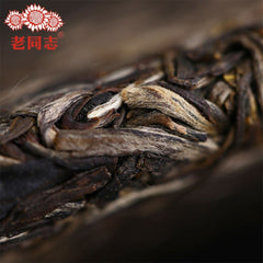 HelloYoung Raw Pu Erh Tea Health Care 357g Premium Haiwan Tea Sheng Puerh 9948 Batch
