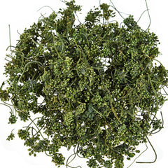 HelloYoung Pure Nature Herbs Drink125g Ginseng Flower Herbal Tea Dried Panax Ginseng China