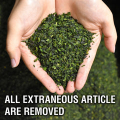 HelloYoung Japanese Ceremonial Grade Organic Matcha Green Tea Powder BI 100g Free Shipping