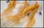 10 Pcs Herbal Pren Optimal Grade Health Panax Ginseng Root Fresh Ginseng Root