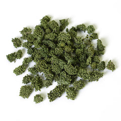 HelloYoung HELLOYOUNG Ginseng Dry Flower Sanqi Tianqi Notoginseng Sanchi Chinese Herbal Tea