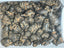 Black Radix Pseudoginseng 黑田七頭, good quality and price 1lb