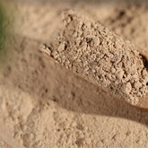 HelloYoung 100% Pure 500g Dandelion Root 10:1 Extract Powder For Liver Kindney Bladder