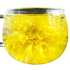 HelloYoung 100pcs Emperor Chrysanthemum Tea Bags Giant Golden JU HUA Big Blooming Tea