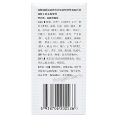 Beijing Tongrentang Qi Guan Yan Wan QiGuanYanWan北京同仁堂气管炎丸300粒/瓶