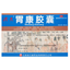 Hongguang Weikang Jiaonang 洪光胃康胶囊