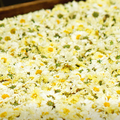 HelloYoung Natural Health Herbal Flower Tea Original Hang Bai Ju 150g 西湖牌 杭白菊 菊花茶凉茶 可搭配枸杞