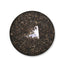 HelloYoung 2101 Dayi "Pu Zhi Wei" Top Sheng Puer Tea Cake 357g TAETEA Raw PuerhTea Batch