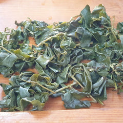 New Spring Dayuling Oolong Tea High Mount Oolong Tea 4 Kinds of Teas 150g