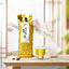 250g Anxi Tie Guan Yin Oolong Tea Vacuum Package Green Tea Benefits Chinese Tea