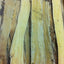 ASTRAGALUS ROOT SLICES DRIED HUANG QI OGI HWANG GI MILK VETCH 1 LB