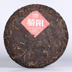 HelloYoung "Jiao Yang" Haiwan Old Comrade Blazing Sun Ripe Puerh Shu Puer Tea 357g