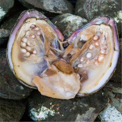 HelloYoung 400G High Quality Natural Freshwater Super Fine Pearl Powder Face Mask