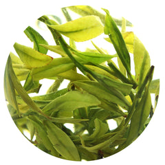 HelloYoung HELLOYOUNG 100g Premium Spring Anji Bai Cha Long Jing White Dragon Well GREENTEA