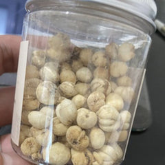 HelloYoung 50g Chinese Specialty Chuan Bei Mu Health Herbal Tea 川贝 川贝炖雪梨 润肺化痰