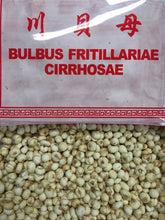 Fritillaria Cirrhosae 川貝母) - 6 OZ