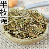 Chinese Herb Scutellaria Skull Cap Herb Scutellaria Barbata Ban Zhi Lian 250g