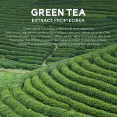 Green Tea Mud Mask Deep Cleansing Oil Control Moisturizing 5G Facial NEW D5K1