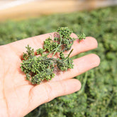 HelloYoung 125g China Dried Panax Ginseng Ginseng Flower Herbal Tea Pure Nature Herbs Drink