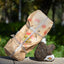 HelloYoung Bao Yan Jin Cha Xiaguan Toucha Raw Mushroom Tuo Cha Pu Erh Puer Tea * 250g