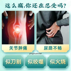 HelloYoung 同仁堂菊苣茶 Herbal Tea Natural Urate Lowering Uric Acid Hypoglycemic Lipid-Lowering