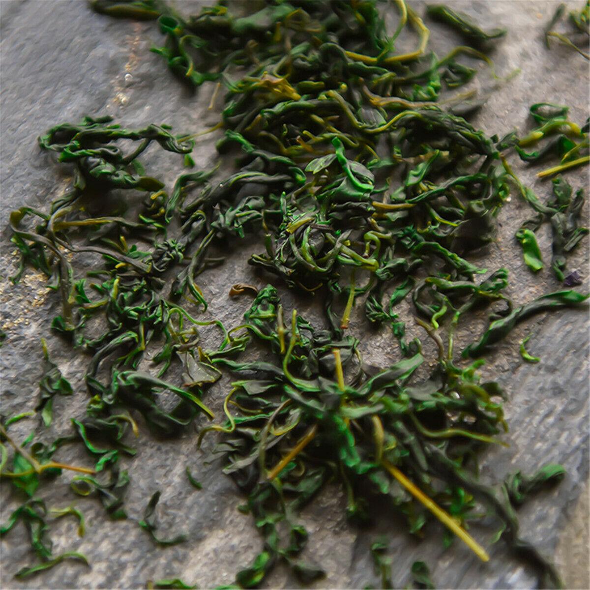 HelloYoungTea New Tea Flower Herbal tea Small-leaved Kuding Tea Qingshanlvshui