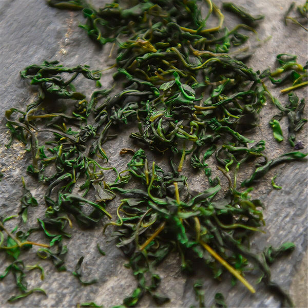 HelloYoungTea New Tea Flower Herbal tea Small-leaved Kuding Tea Qingshanlvshui