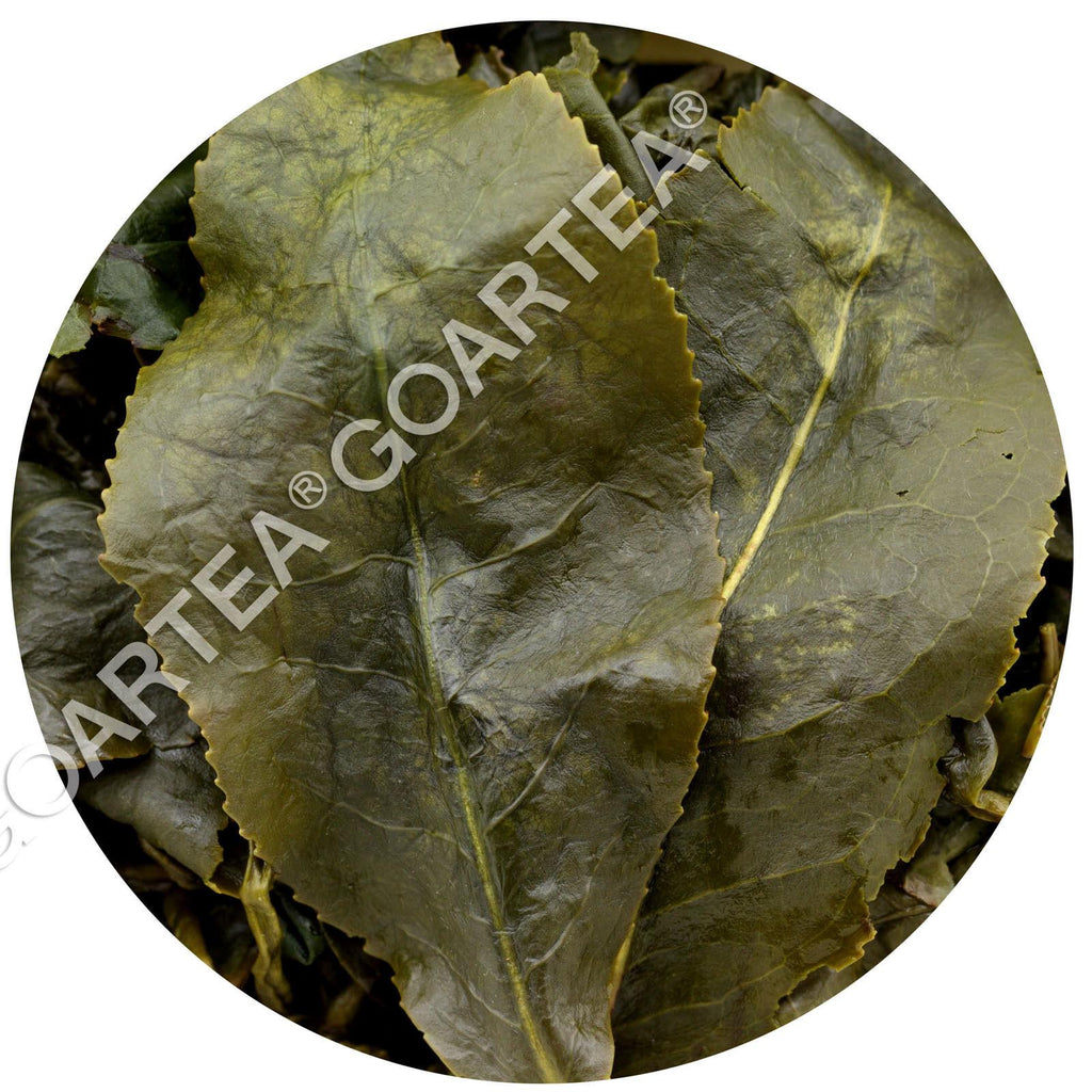 HELLOYOUNG 250g Supreme Taiwan Dongding Oolong Tea High Mount Tung-ting Green