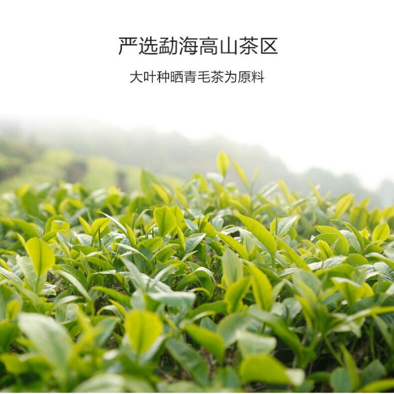 HelloYoungTea Haiwan Lao Tong Zhi Old Comerade 7548 Pu-erh Tea Cake Sheng 2021 357g Raw Pu'er