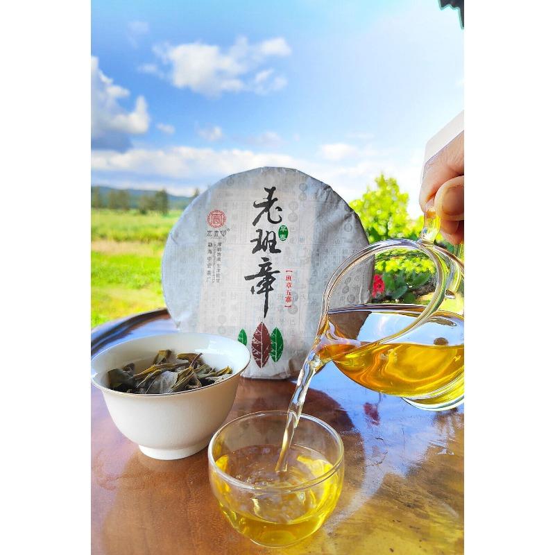 HelloYoungTea 357g Ming Qian Ancient Tree Spring Tea Pu'er Raw Tea Seven Seed Cake Tea