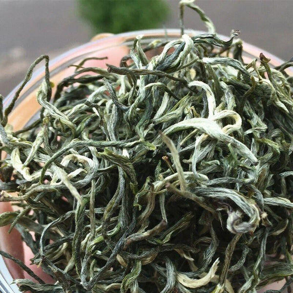 HelloYoungTea Yunnan Organic Early Spring Snowy Mountain Maofeng Wild Silver Tips Green Tea