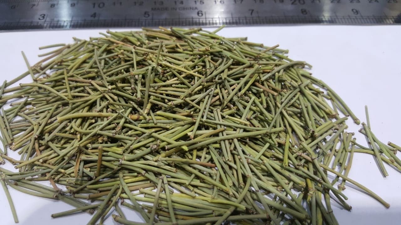 HelloYoung Chinese Medicinal Herb Ma Huang Grade A 250g Secondary image