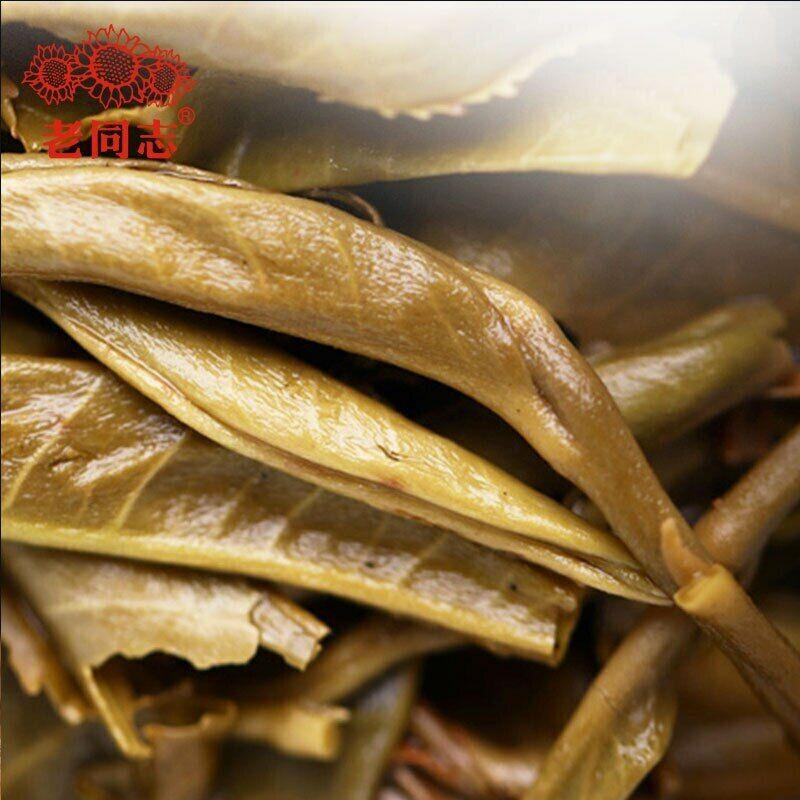 2021 Haiwan Pa Sha Ancient Tree Raw Puer Tea Aged Tree Sheng Puerh Tea 500g