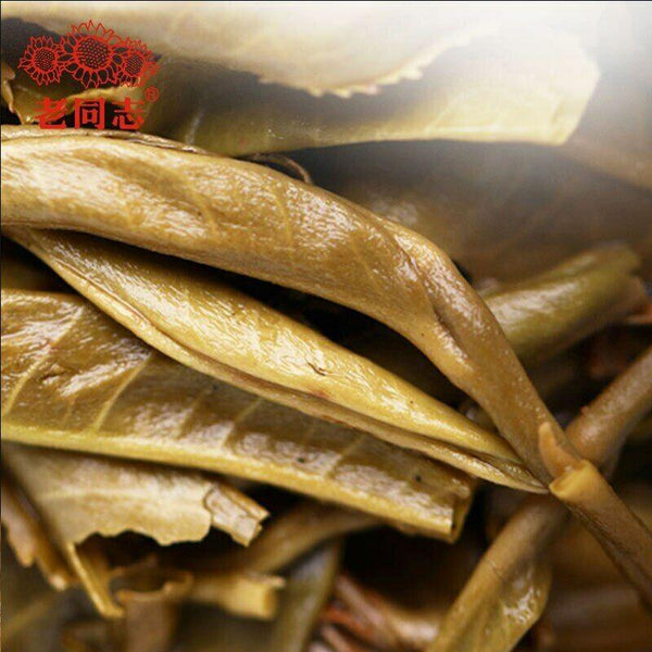 2021 Haiwan Pa Sha Ancient Tree Raw Puer Tea Aged Tree Sheng Puerh Tea 500g