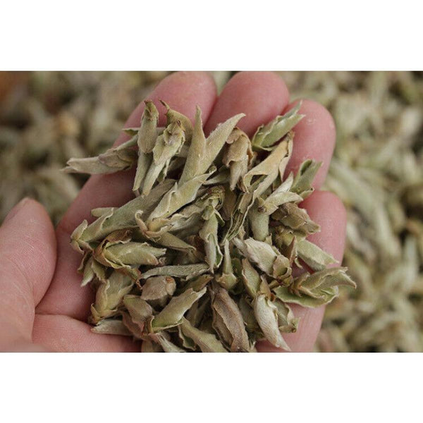 HelloYoungTea YABAO Bai Ya Bao Shen Puerh Loose Leaf Yunnan White Buds Pu-erh Tea Raw Puer