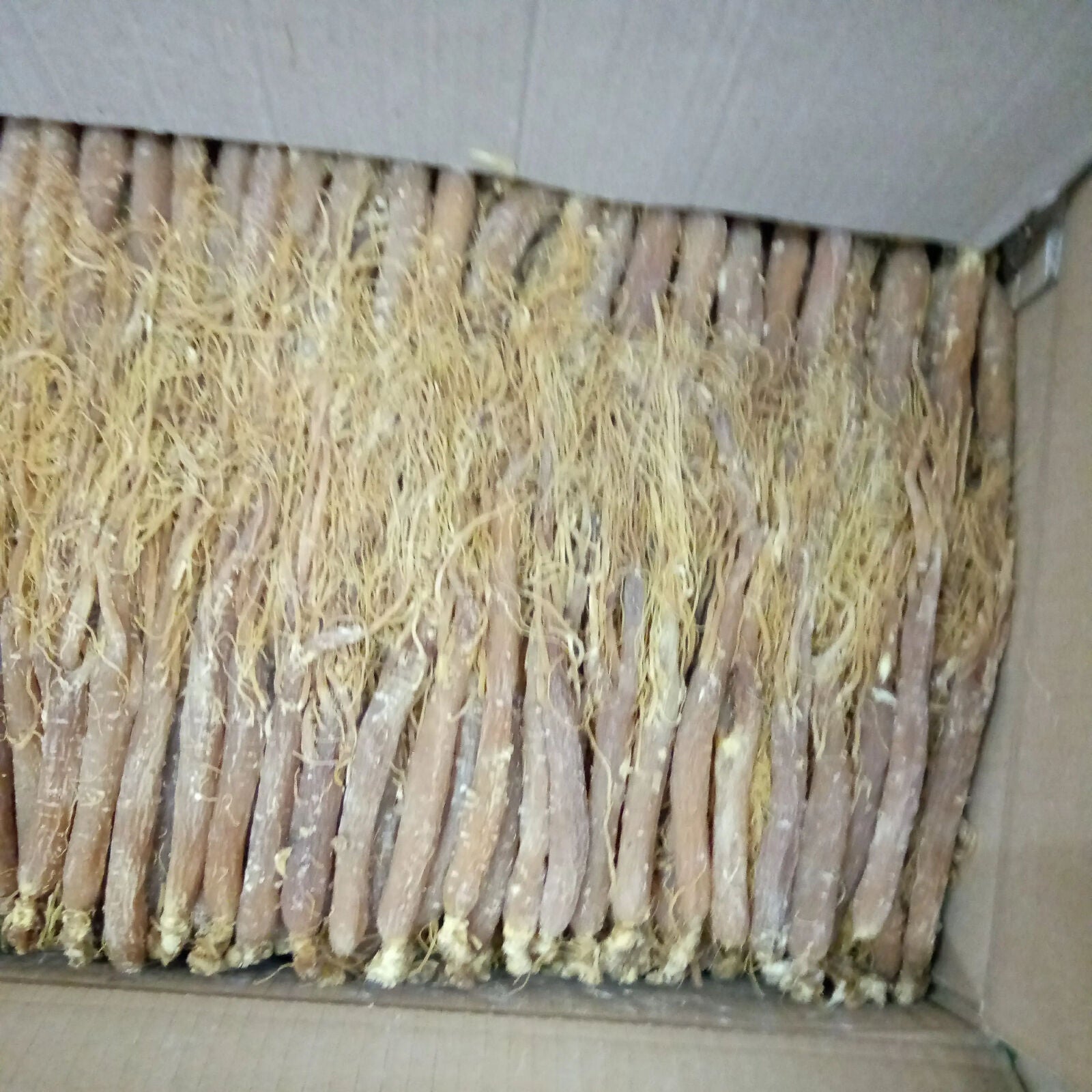 Low Sugar Red Ginseng Whole Root Changbai Mountain Ginseng 250g 10 pcs Specialty Main image