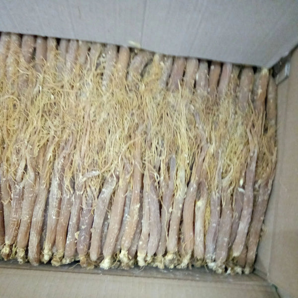 Low Sugar Red Ginseng Whole Root Changbai Mountain Ginseng 250g 10 pcs Specialty