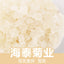 Natural Gum Tragacanth Yunnan Snow Swallow Xueyan 雪燕 500g