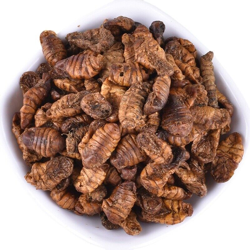 HelloYoung Dried Cicada Chrysalis Dried Silkworm Chrysalis Chinese Herbs 500g/1.1lb
