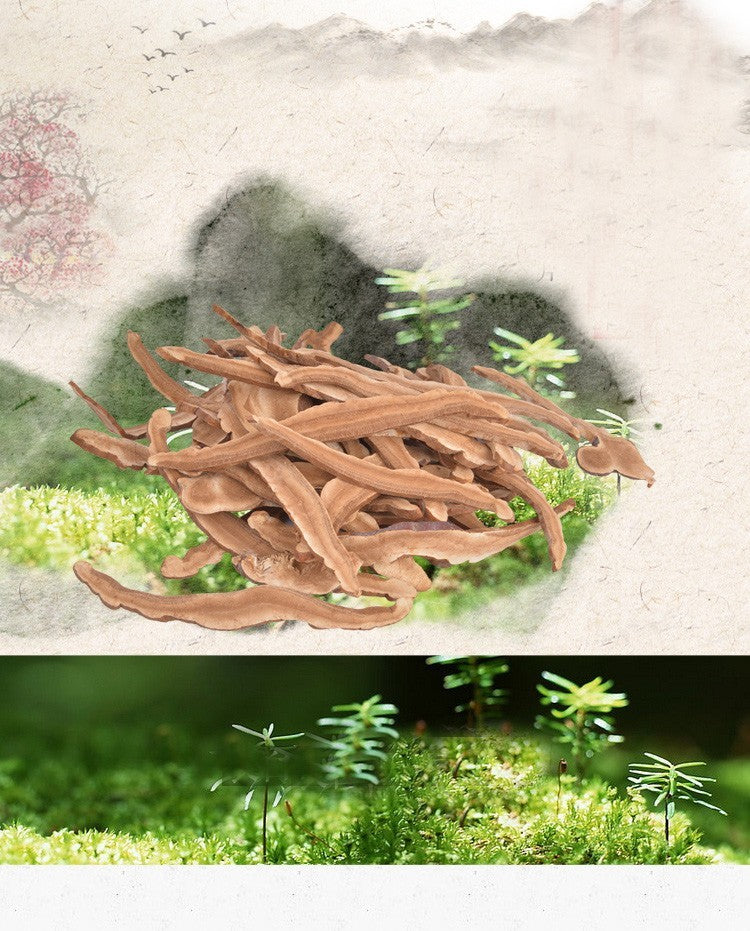 Organic Herb Healthy Food Dried Wild Lingzhi Red Reishi Mushrooms Ganoderma 250g