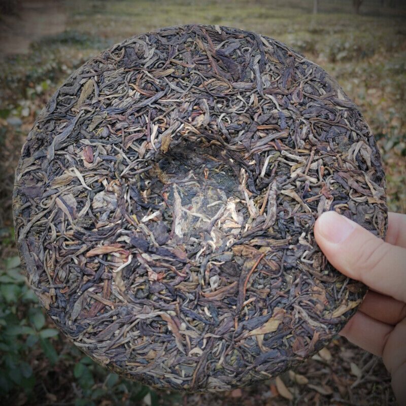 HelloYoung 357g Certified Yiwu Pu'er Tea Early Spring Arbor Cha Tea Weight Loss Healthy Tea